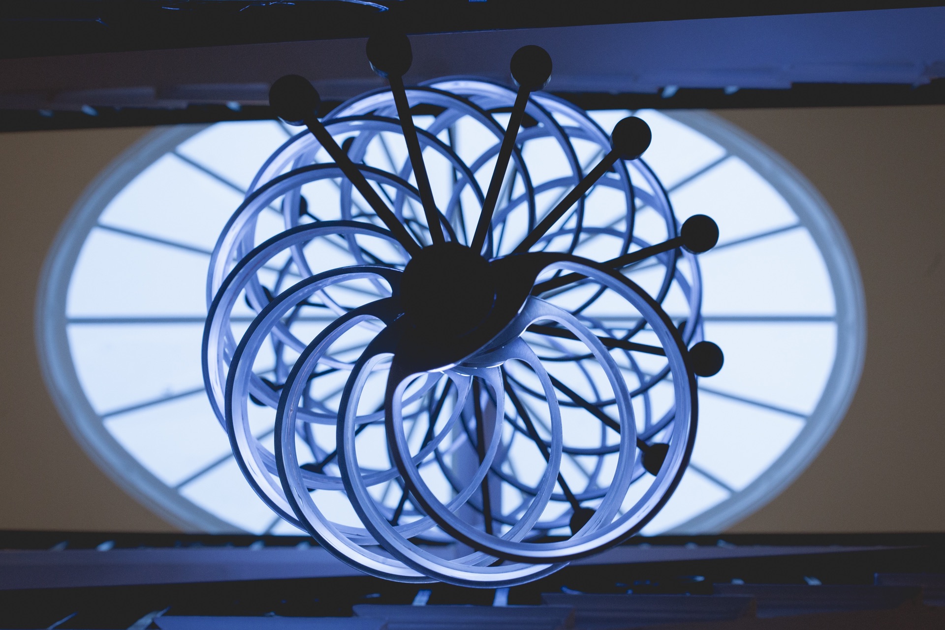 Murmuration Chandelier from below